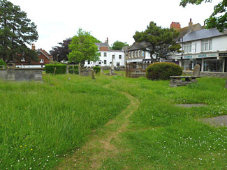 Meadow path