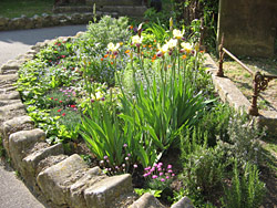 The Mary Garden The Mary Garden