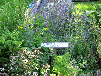 The Hospitallers' Garden The Hospitallers' Garden